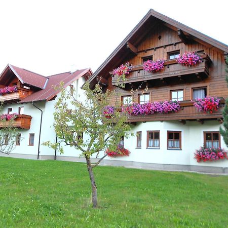 Pension Thorerhof Haus im Ennstal Buitenkant foto